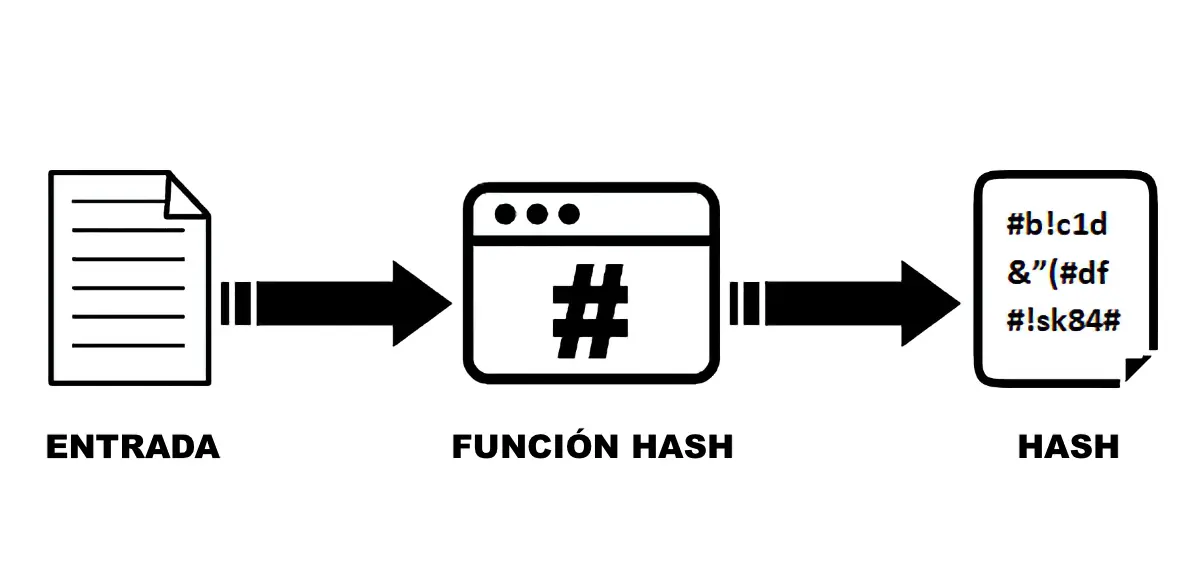 ¿Cuáles son las Dos Funciones de Hash Comunes?