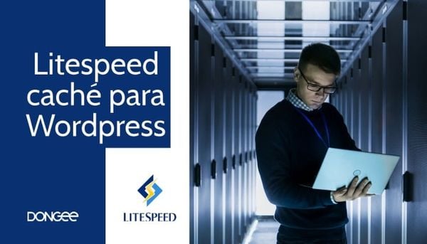 que es litespeed