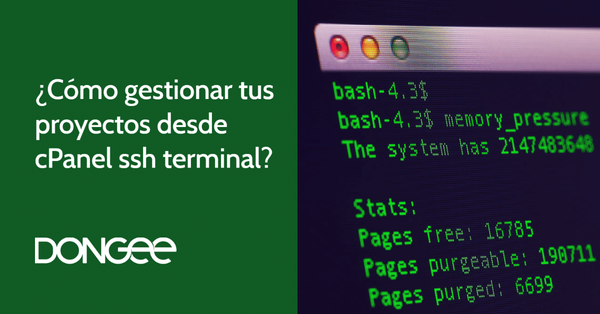 cpanel ssh terminal