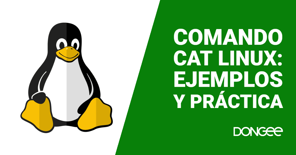 comando cat linux
