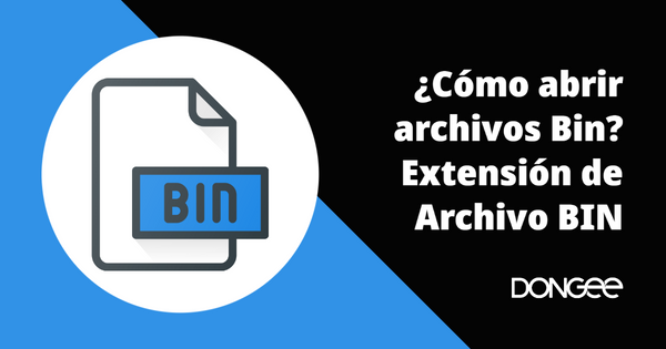 ¿Cómo abrir archivos Bin? Extensión de Archivo BIN