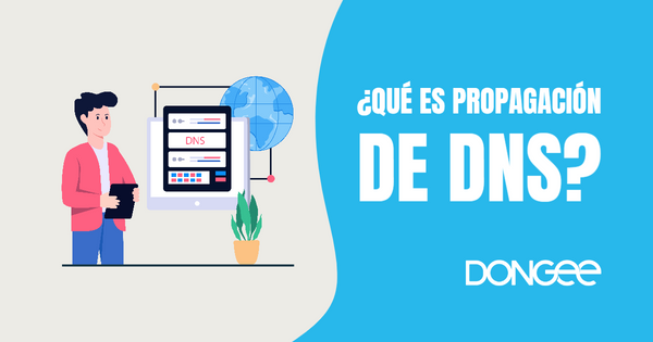 que es propagación de dns