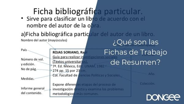 ¿Qué son las Fichas de Trabajo de Resumen?