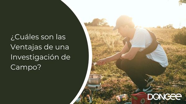 ¿Cuáles son las Ventajas de una Investigación de Campo?