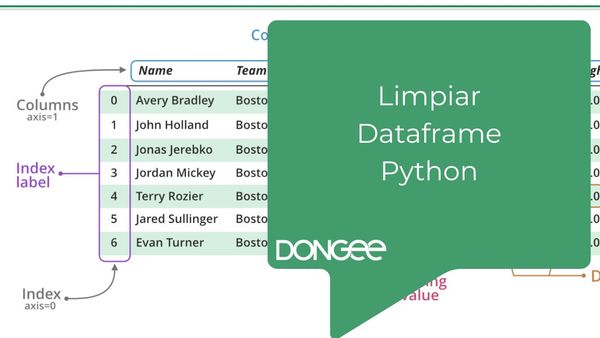 Limpiar Dataframe Python