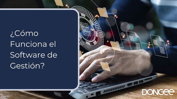 ¿Cómo Funciona el Software de Gestión?