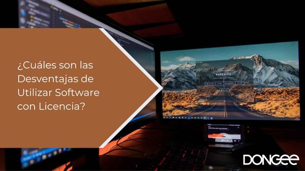 ¿Cuáles son las Desventajas de Utilizar Software con Licencia?