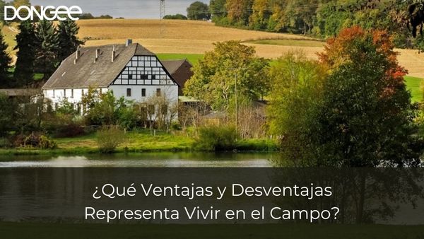 ¿Qué Ventajas y Desventajas Representa Vivir en el Campo?