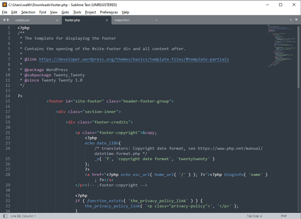 Sublime text footer.php