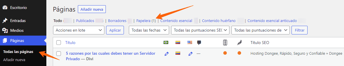 Paginas eliminadas WordPress